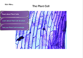 Plant Cell Slide